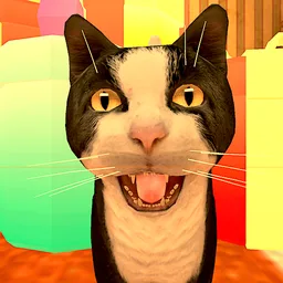 Image for Cat Freddy